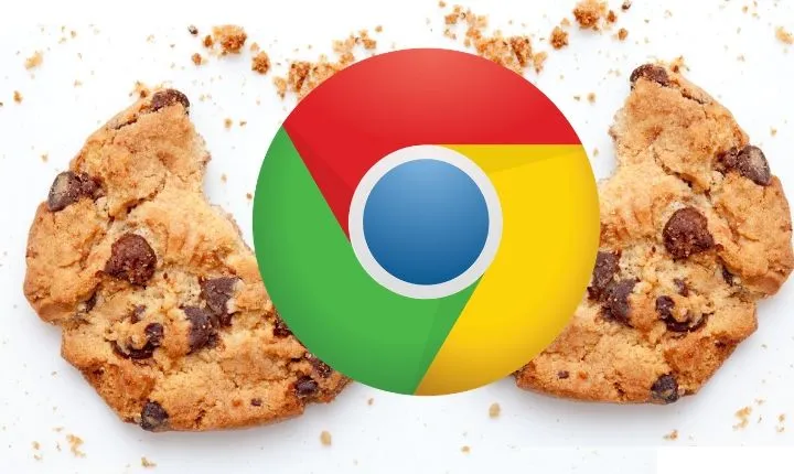 Cookies Marketing Digital Marina